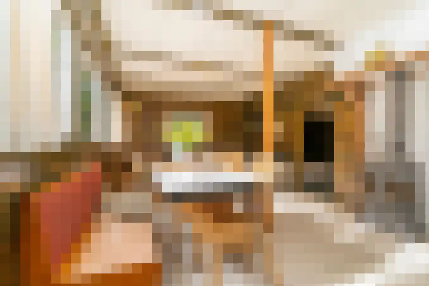 Bernsehoef 6 A Kaatsheuvel thumbnail 13