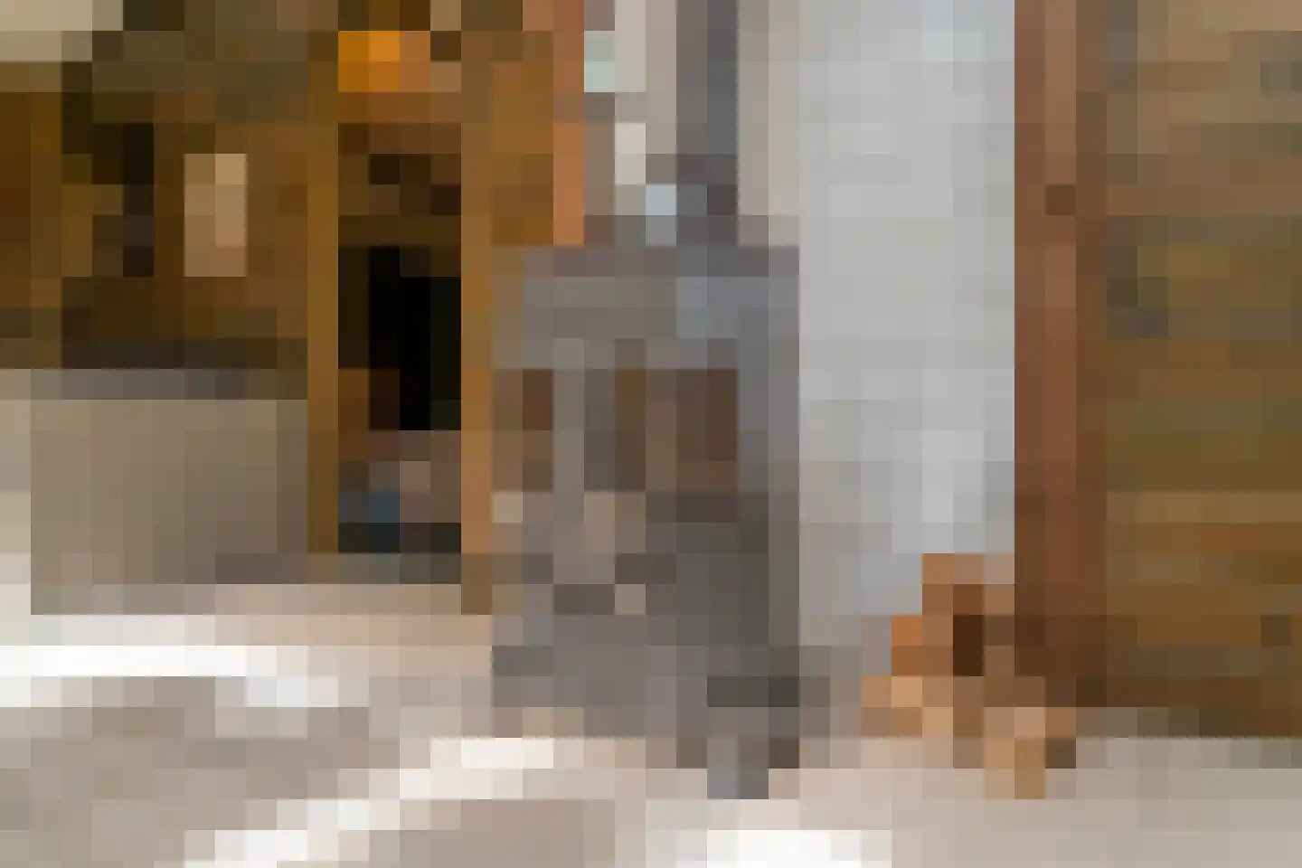 Bernsehoef 6 A Kaatsheuvel thumbnail 17