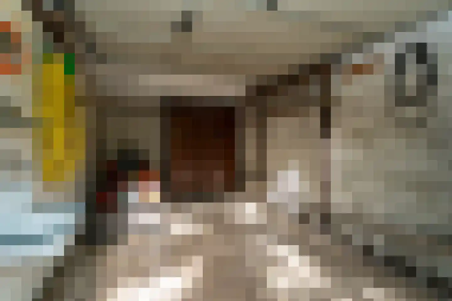 Bernsehoef 6 A Kaatsheuvel thumbnail 23