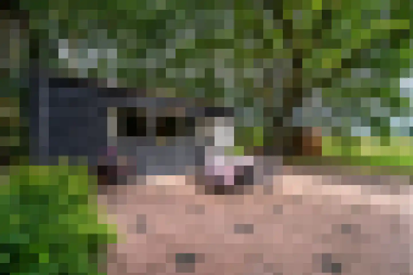 Bernsehoef 6 A Kaatsheuvel thumbnail 27