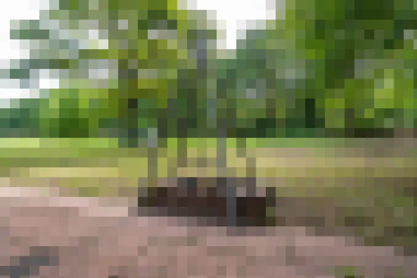 Bernsehoef 6 A Kaatsheuvel thumbnail 31