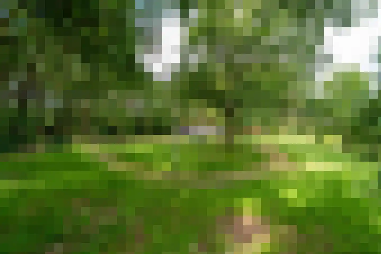 Bernsehoef 6 A Kaatsheuvel thumbnail 32