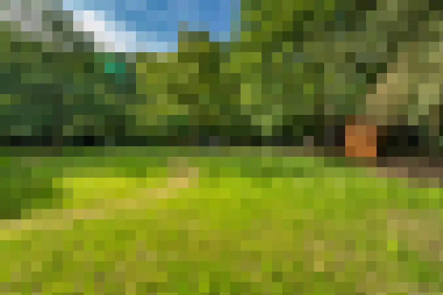Bernsehoef 6 A Kaatsheuvel thumbnail 33