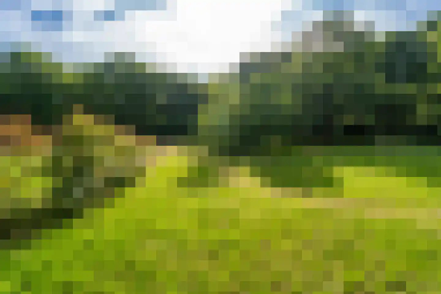 Bernsehoef 6 A Kaatsheuvel thumbnail 34