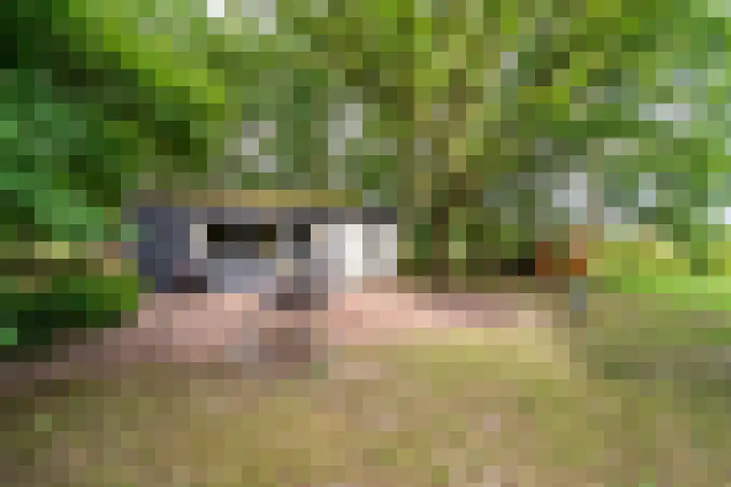 Bernsehoef 6 A Kaatsheuvel thumbnail 38