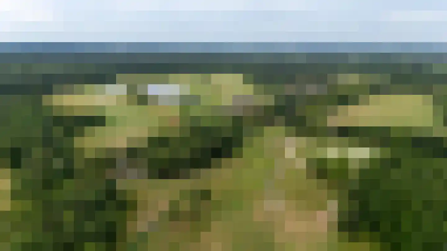 Bernsehoef 6 A Kaatsheuvel thumbnail 44
