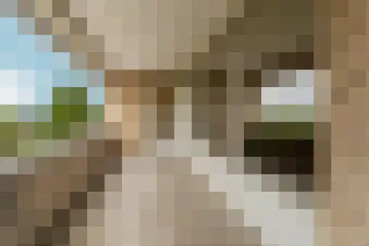 Bernstein 52 Eerbeek thumbnail 21
