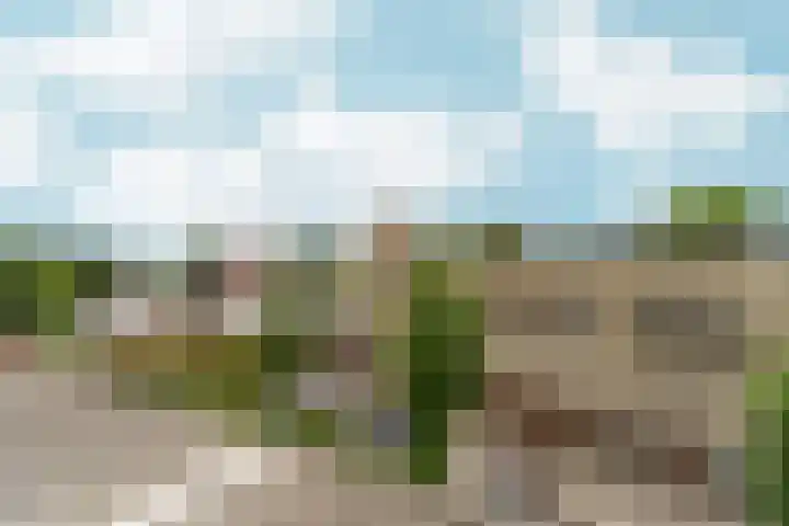 Bernstein 52 Eerbeek thumbnail 22