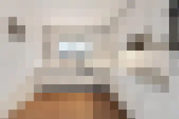 Bernstein 64 Eerbeek thumbnail 11