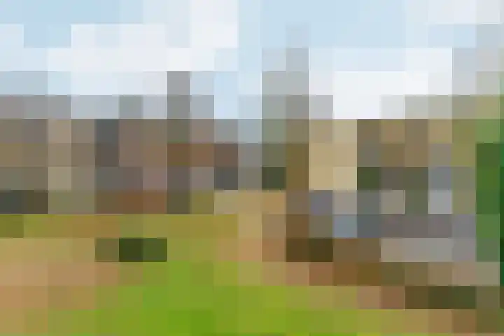 Bernstein 64 Eerbeek thumbnail 27