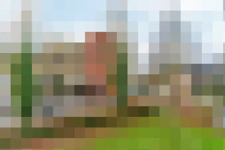 Bernstein 64 Eerbeek thumbnail 29