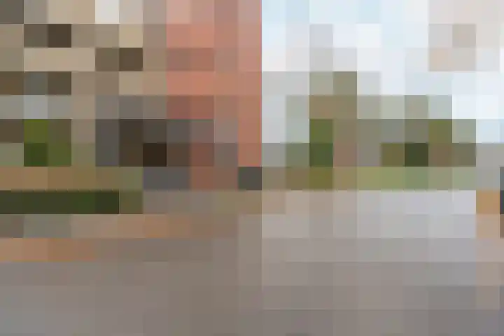 Bernstein 64 Eerbeek thumbnail 30