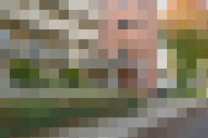 Bernstein 70 Eerbeek thumbnail 22