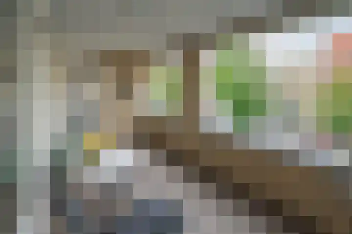 Bernstein 70 Eerbeek thumbnail 4