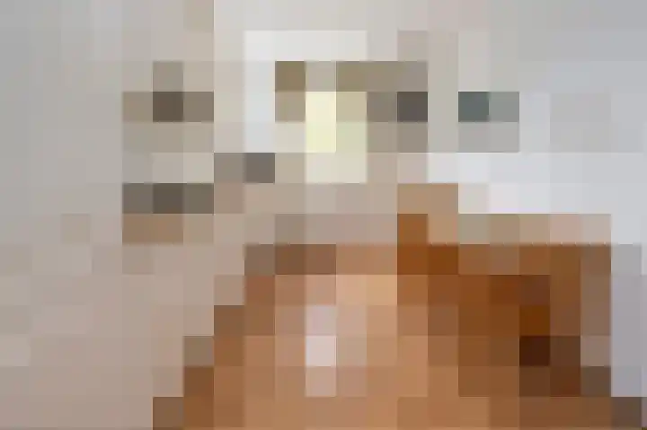 Bernstein 70 Eerbeek thumbnail 8