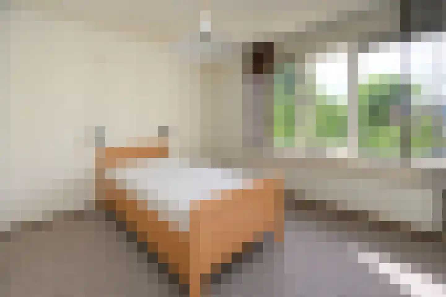 Bernstein 74 Eerbeek thumbnail 10