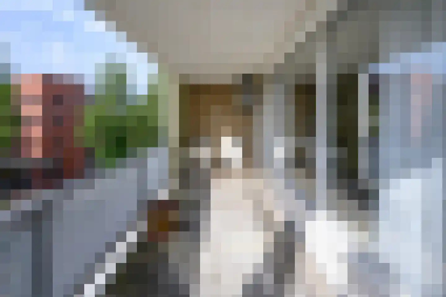 Bernstein 74 Eerbeek thumbnail 15