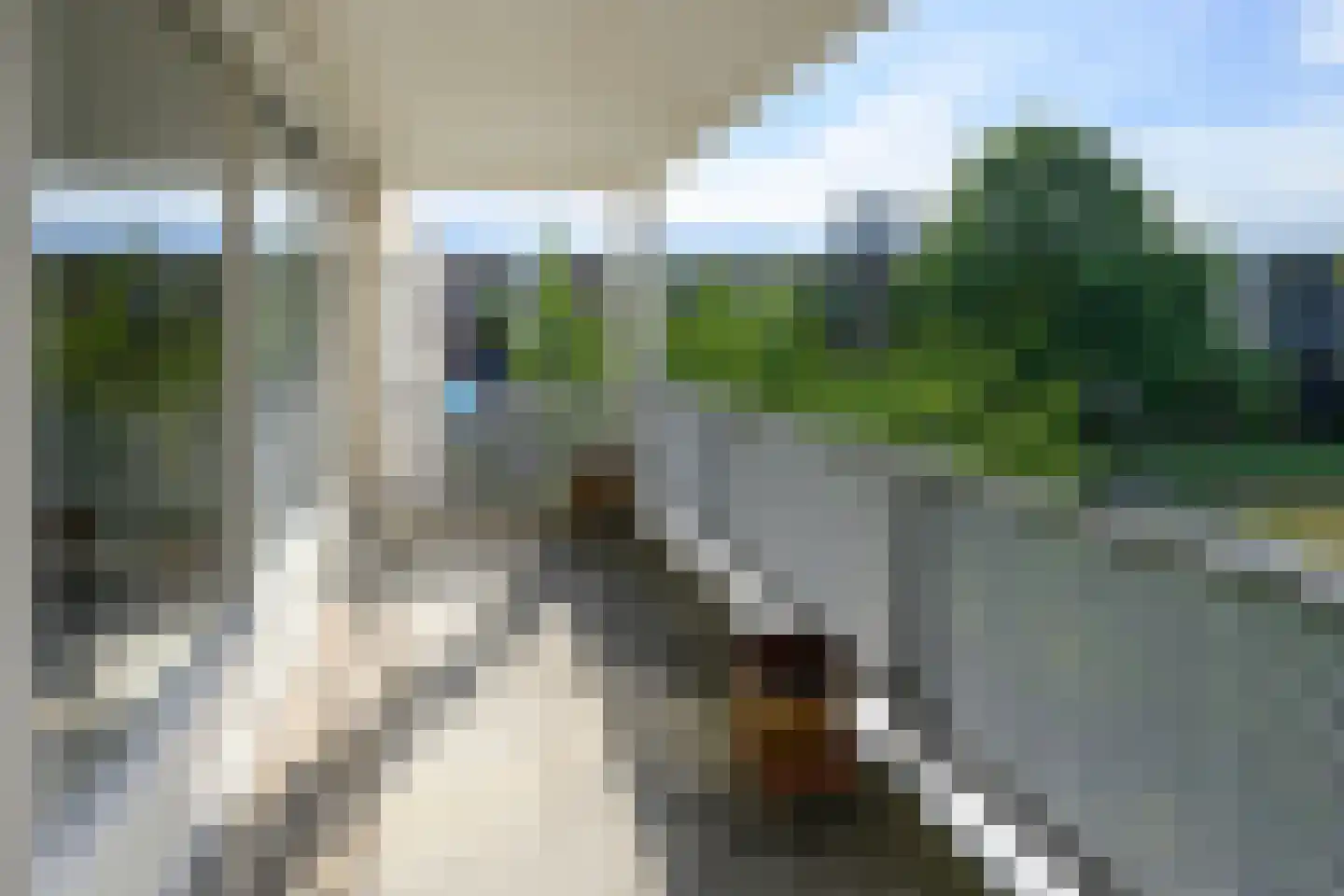 Bernstein 74 Eerbeek thumbnail 16