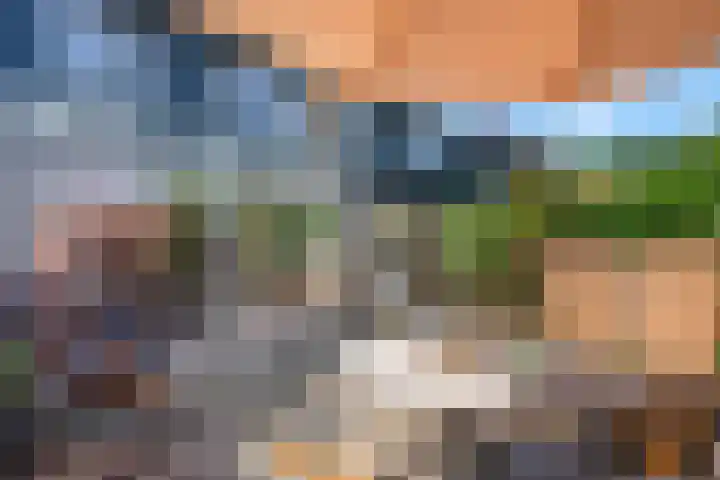 Bernstein 76 Eerbeek thumbnail 15