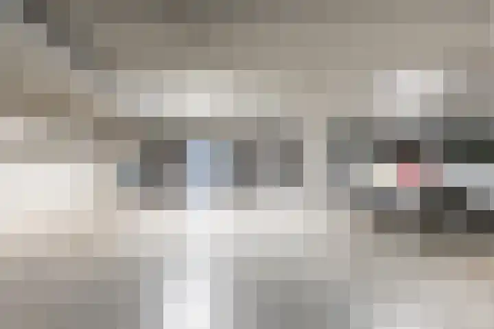 Bernstein 76 Eerbeek thumbnail 18