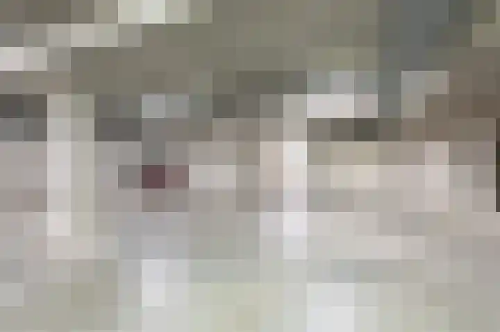 Bernstein 76 Eerbeek thumbnail 19