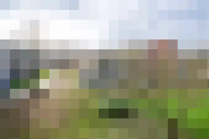 Bernstein 76 Eerbeek foto 2