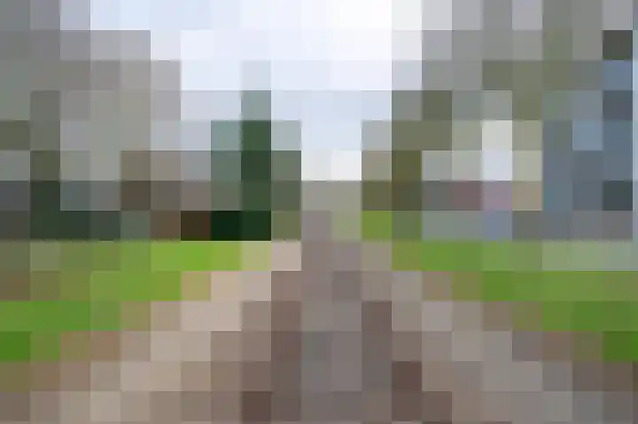 Bernstein 76 Eerbeek thumbnail 27
