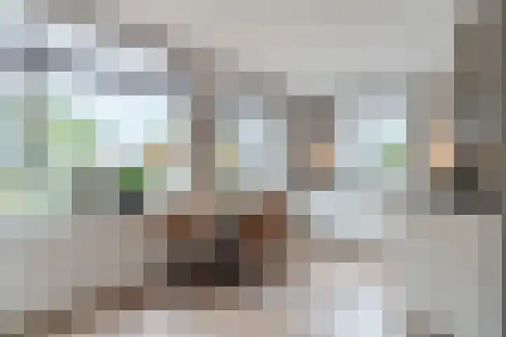 Bernsteineiland 14 Sliedrecht thumbnail 10