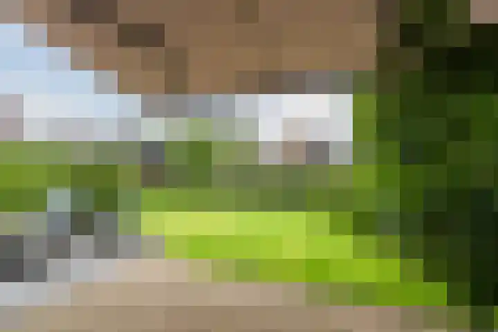 Bernsteineiland 14 Sliedrecht thumbnail 32