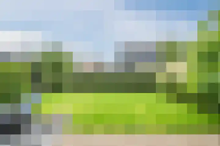 Bernsteineiland 14 Sliedrecht thumbnail 33