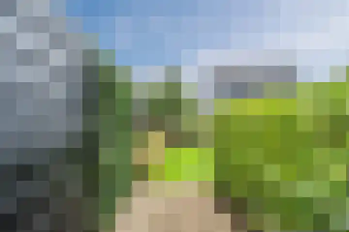Bernsteineiland 14 Sliedrecht thumbnail 34