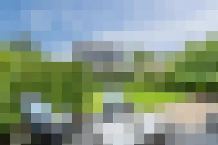 Bernsteineiland 14 Sliedrecht thumbnail 35