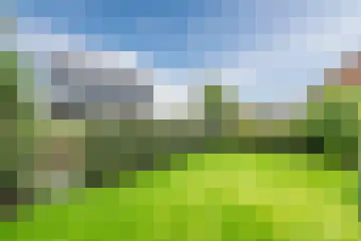Bernsteineiland 14 Sliedrecht thumbnail 36