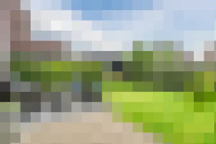 Bernsteineiland 14 Sliedrecht thumbnail 37