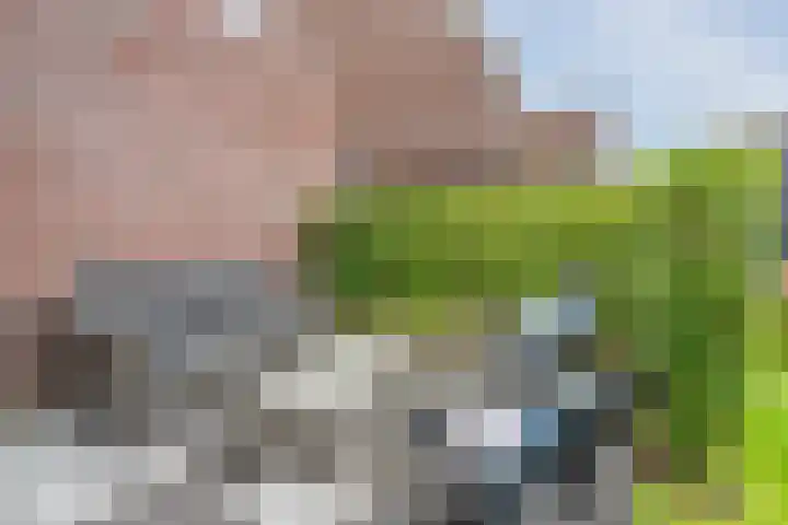 Bernsteineiland 14 Sliedrecht thumbnail 38