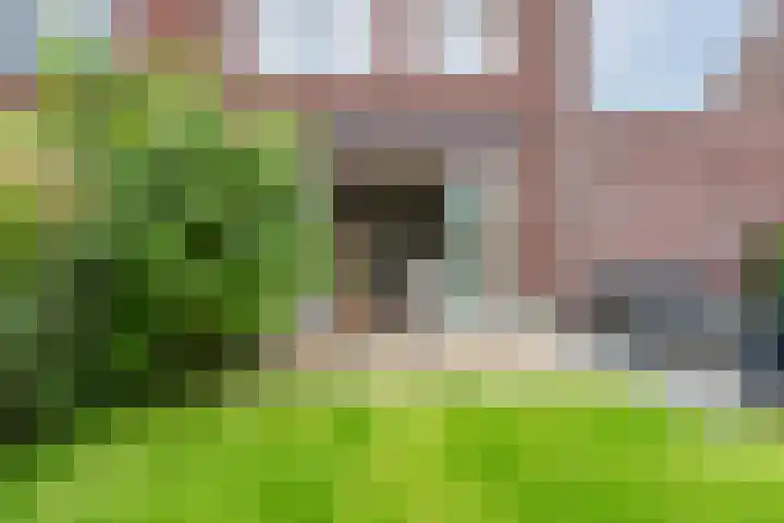 Bernsteineiland 14 Sliedrecht thumbnail 43