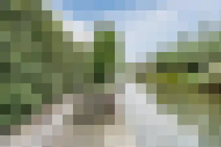 Bernsteineiland 14 Sliedrecht thumbnail 48