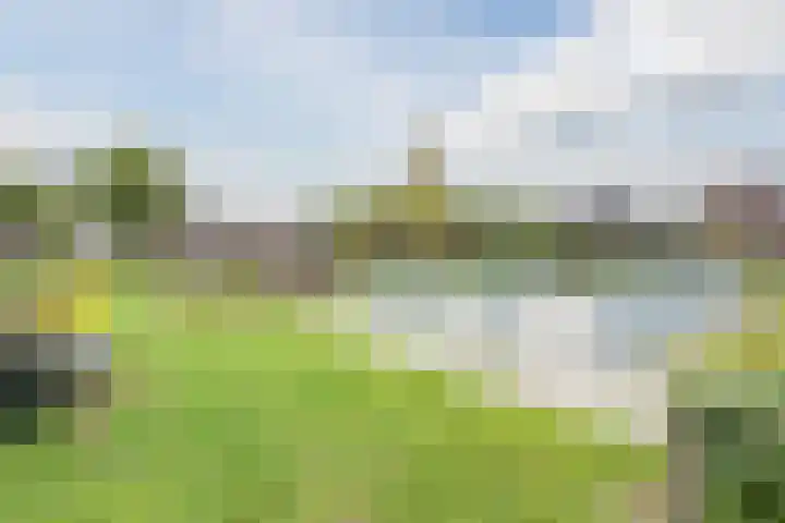 Bernsteineiland 14 Sliedrecht thumbnail 50