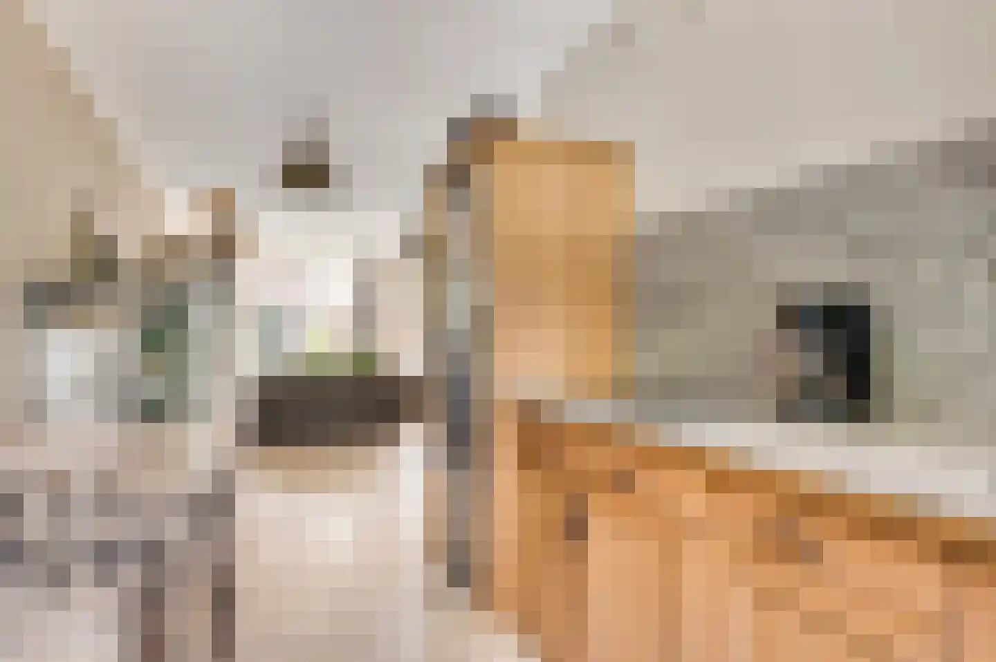 Bernsteinstraat 1 Roermond thumbnail 11