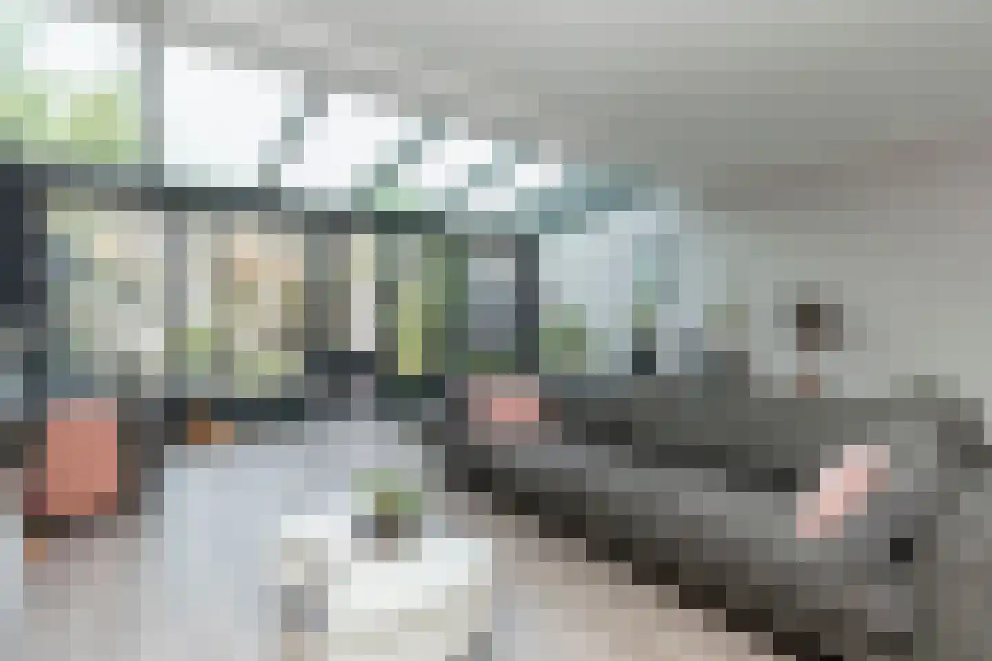 Bernsteinstraat 15 Capelle aan den IJssel thumbnail 11