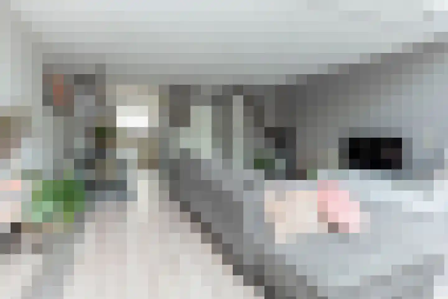 Bernsteinstraat 15 Capelle aan den IJssel thumbnail 13