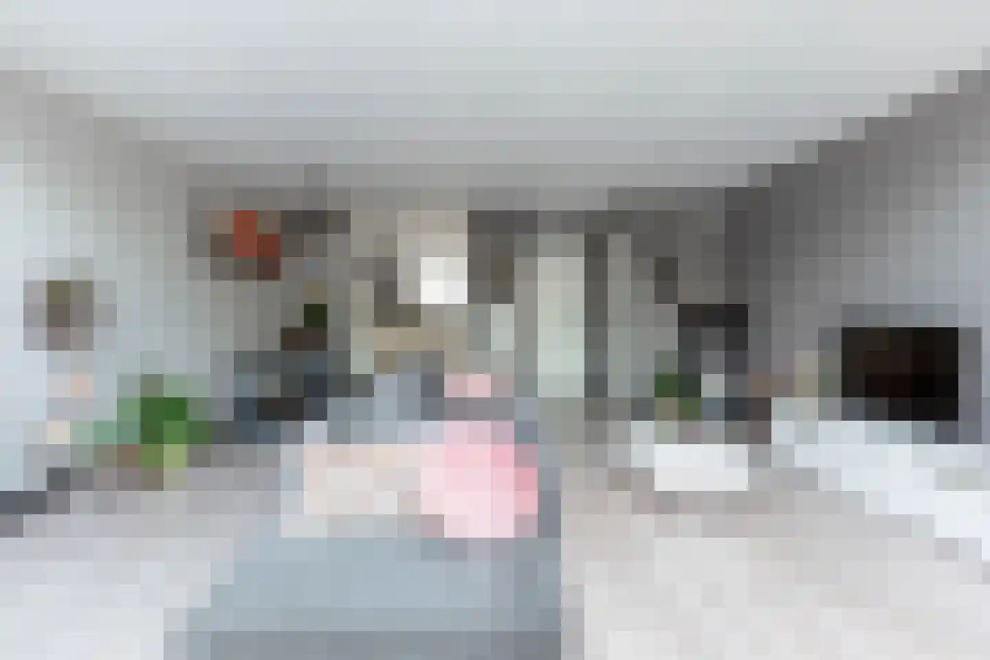 Bernsteinstraat 15 Capelle aan den IJssel thumbnail 14