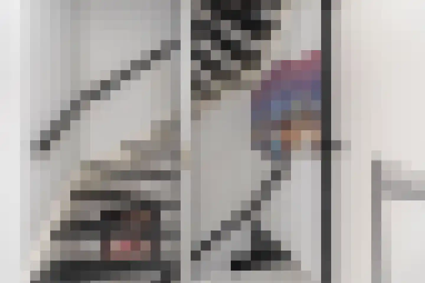 Bernsteinstraat 15 Capelle aan den IJssel thumbnail 18