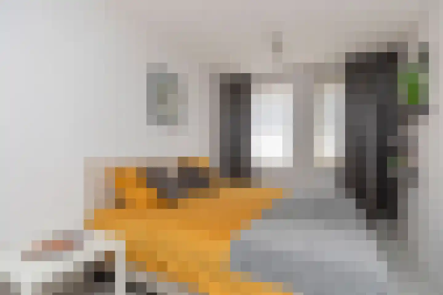 Bernsteinstraat 15 Capelle aan den IJssel thumbnail 24