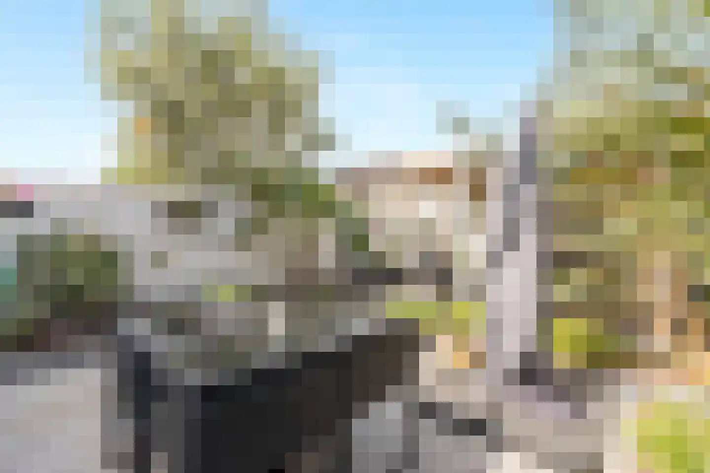 Bernsteinstraat 15 Capelle aan den IJssel thumbnail 44