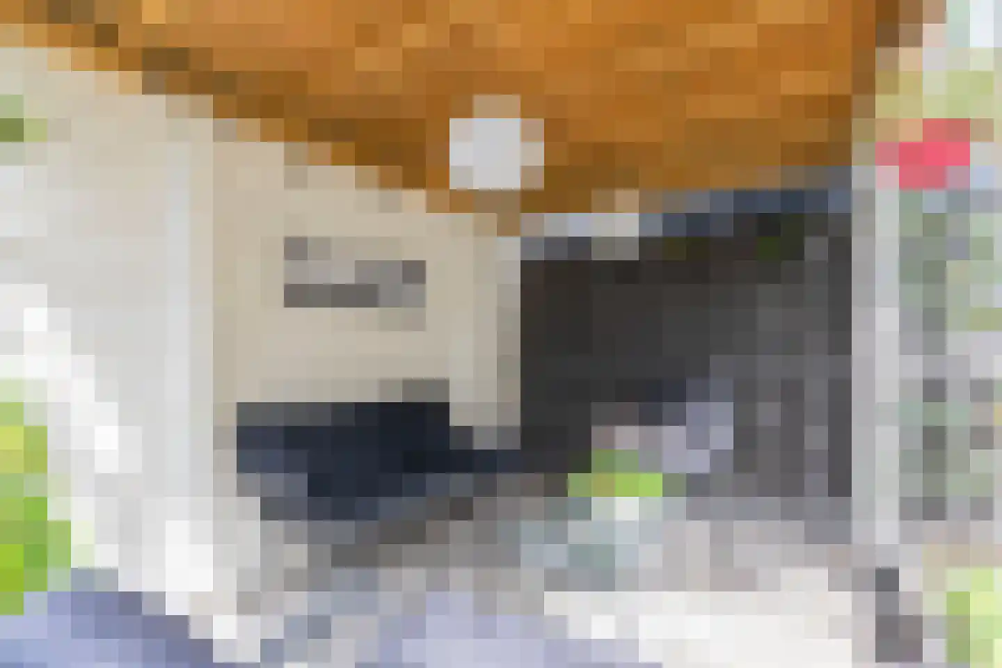 Bernsteinstraat 15 Capelle aan den IJssel thumbnail 47
