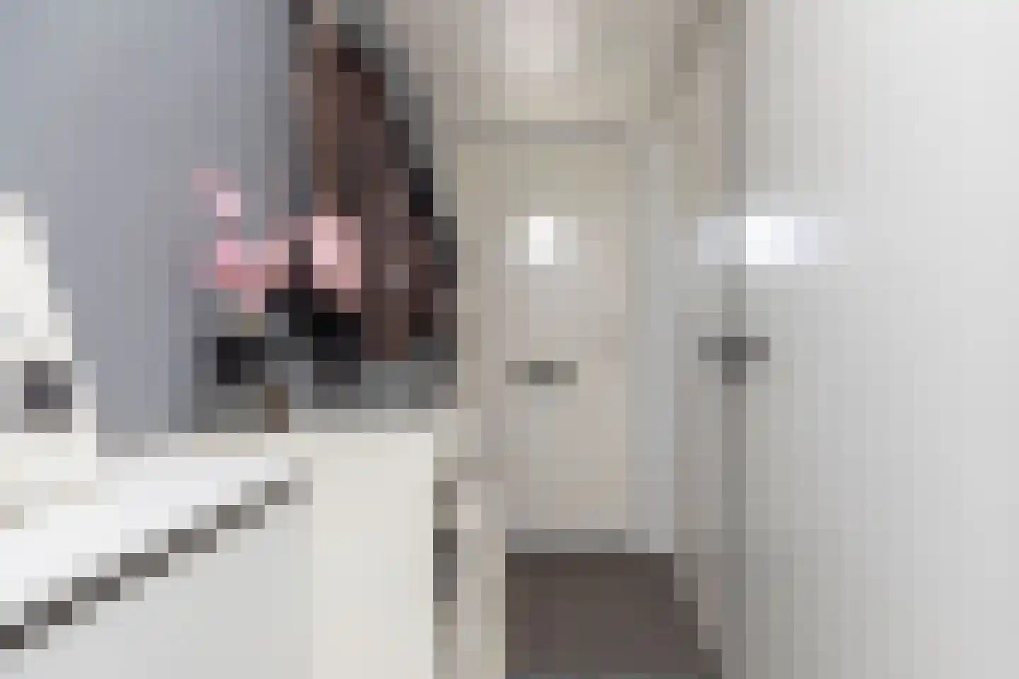 Bernsteinstraat 15 Capelle aan den IJssel thumbnail 5