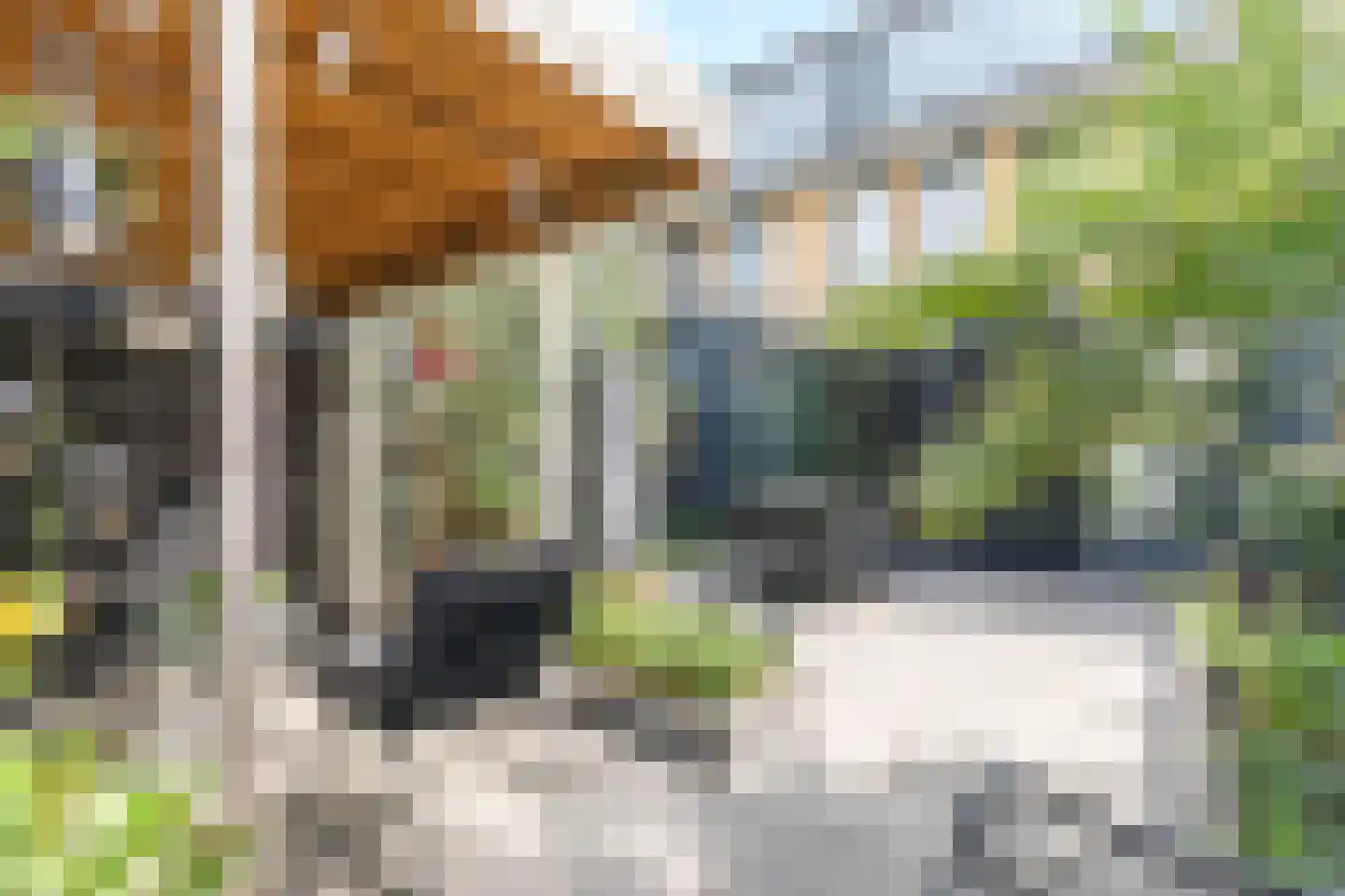 Bernsteinstraat 15 Capelle aan den IJssel thumbnail 50