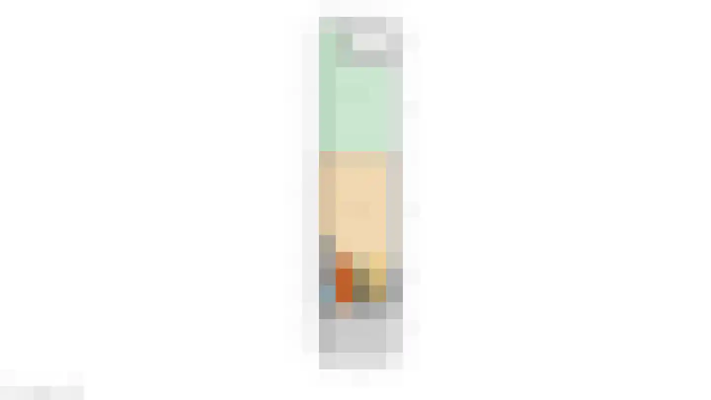 Bernsteinstraat 15 Capelle aan den IJssel thumbnail 57
