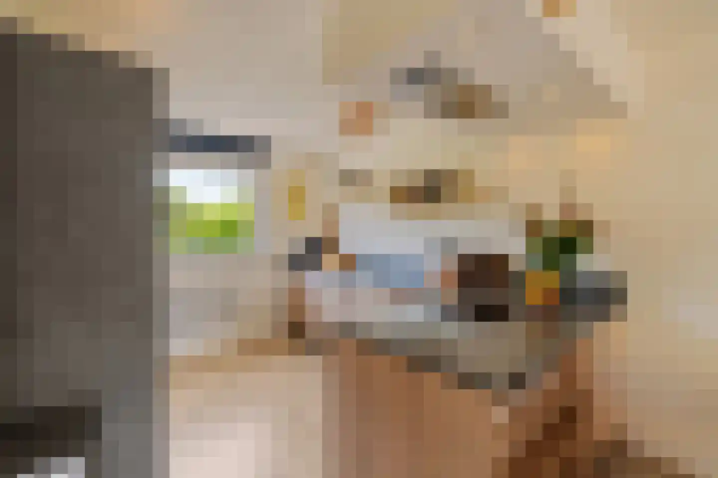 Bernsteinstraat 25 Capelle aan den IJssel thumbnail 14